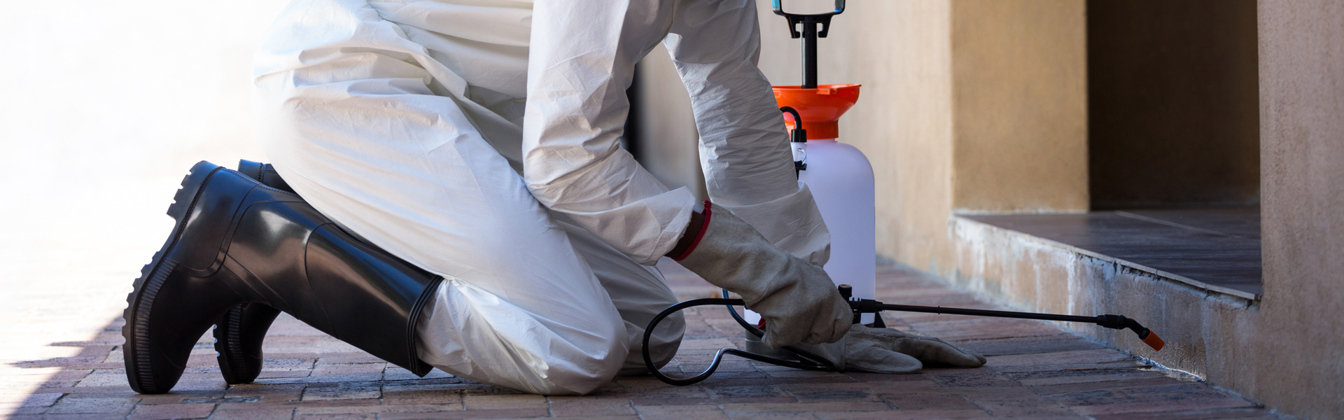 Man Spraying Pesticide